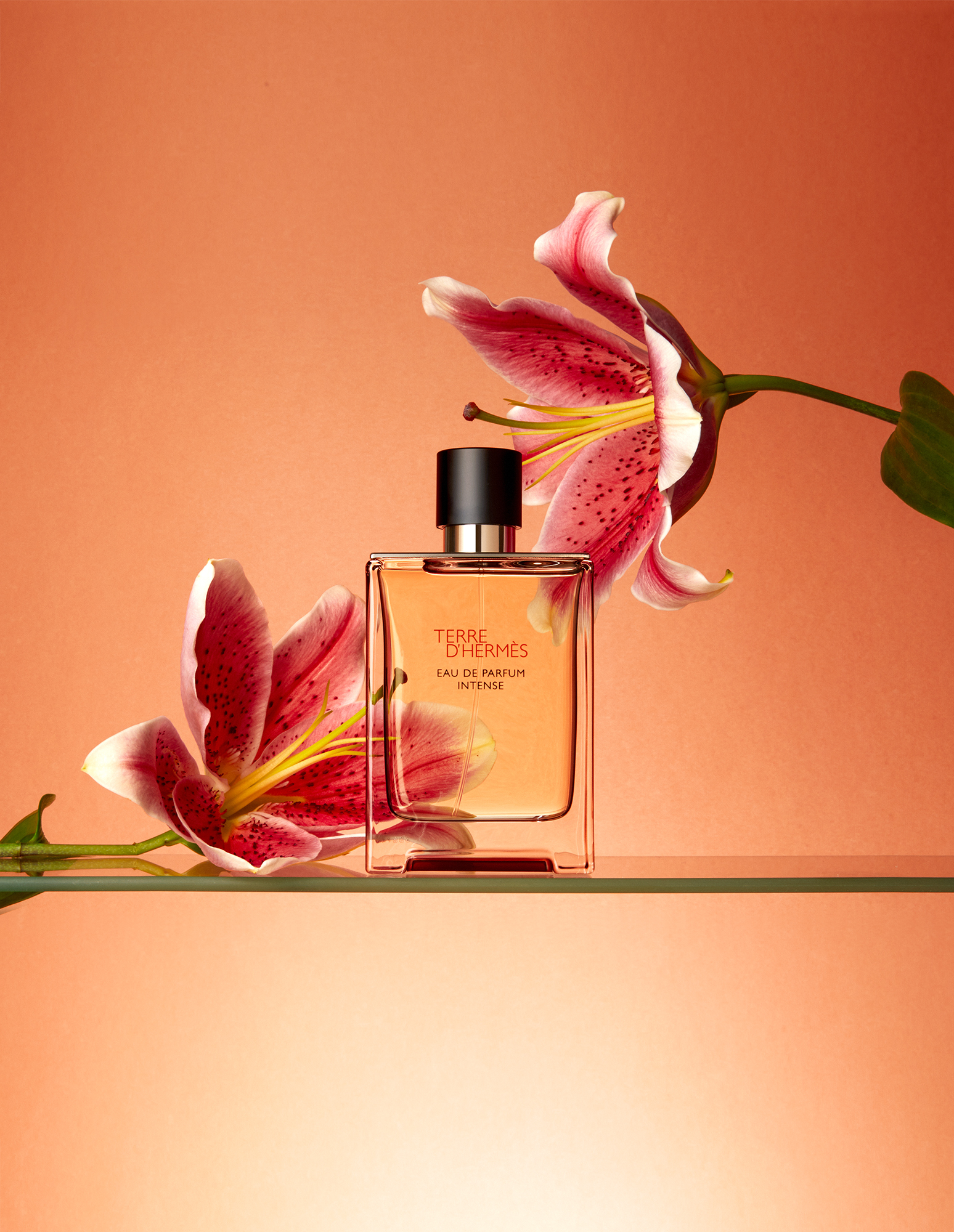 DOUGLAS_PERFUMS_02
